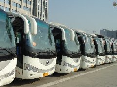 北京中巴车出租带司机服务价格怎么样